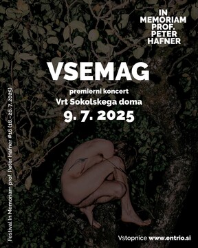 Hafnerjev memorial | Koncert: Vsemag