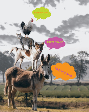 RAZPRODANO BREMENSKI GODCI